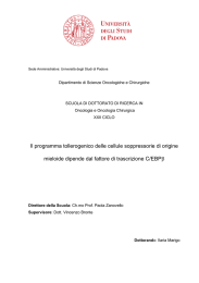 Documento PDF (Tesi di Dottorato ) - Padua@Research