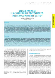 dieta e farmaci: la chiave per il trattamento delle colopatie nel gatto