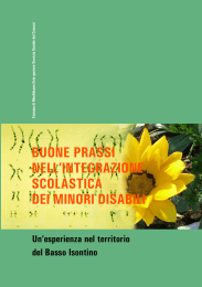 buone prassi nell`integrazione scolastica dei minori disabili