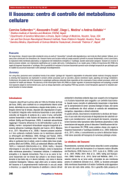 Il lisosoma: centro di controllo del metabolismo cellulare