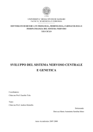 Sviluppo del sistema nervoso centrale e genetica