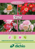 Mostra delle Rose - Dichio vivai garden
