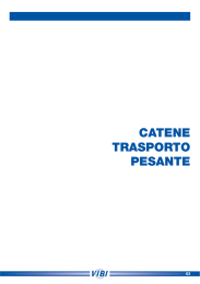 CATENE TRASPORTO PESANTE