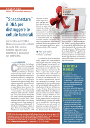 “Spacchettare” il DNA per distruggere le cellule tumorali
