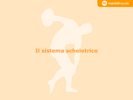 SISTEMA_SCHELETRICO