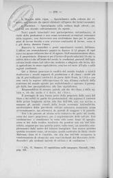 3) Massaro delle vigne — Specializzato nella coltura dei vi