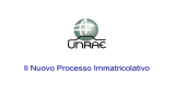 Il nuovo Processo Immatricolativo