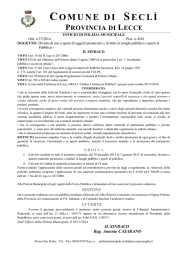 divieto sparo petardi