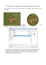 Come tagliare un`immagine dandole una forma tonda