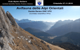 Avifauna delle Alpi Orientali - Commissione Escursionismo VFG