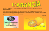 Conosciamo… l`arancia