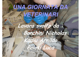 Anatomia del branzino