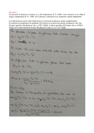 Esercizio 1 Un pezzetto di ghiaccio di massa m e alla temperatura di
