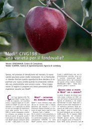 Modì® CIVG198