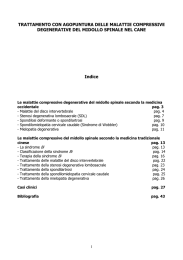 MALATTIE COMPRESSIVE DEL MIDOLLO SPINALE DEL CANE