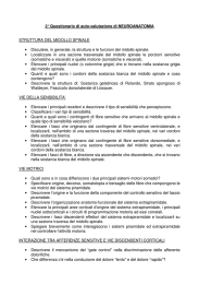 2&deg; Questionario Autovalutazione