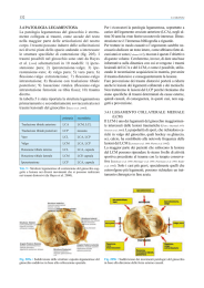 Catene Miofasciali- Ginocchio patologia legamentosa - Spine