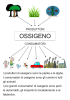 anidride carbonica, ossigeno e vapore acqueo