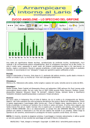 zucco angelone &ndash; lo specchio del grifone
