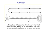 Onda F 1.Definizione/ Nomenclatura