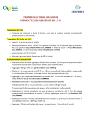 PROTOCOLLO ARRESTI FERMENTAZIONE 10 hl