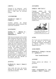 A BOTTA Armature la cui robustezza veniva accertata con alcuni