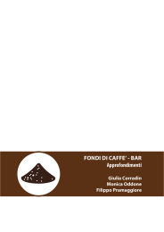 FONDI DI CAFFE - Systems Design Polito