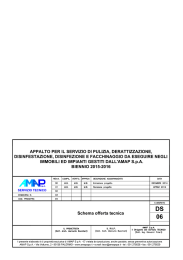 Schema offerta tecnica