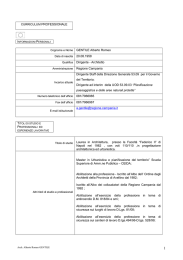 CURRICULUM PROFESSIONALE Cognome e Nome GENTILE