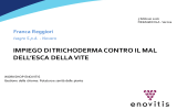 IMPIEGO DI TRICHODERMA CONTRO IL MAL DELL`ESCA DELLA