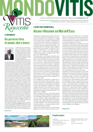 Alcune riflessioni sul Mal dell`Esca