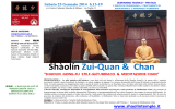 25-01-2014 Shaolin Zui-Quan+meditazione-Chan
