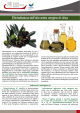 Etichettatura dell`olio extra vergine di oliva