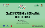 CLASSIFICAZIONE e NORMATIVA OLIO DI OLIVA