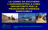 La canna da zucchero. L`agroindustria a Cuba: oppotunità