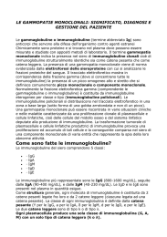 Come sono fatte le immunoglobuline?