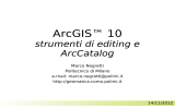 ArcGIS - Editing e ArcCatalog