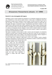 Situazione fitosanitaria attuale - 2 / 2002