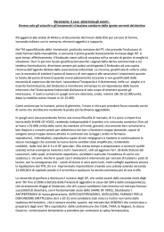 Raramente il caso determina gli eventi . Ovvero solo gli sciocchi e