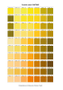 Cartella Colori PANTONE