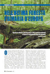 nell`ultima foresta primaria d`europa