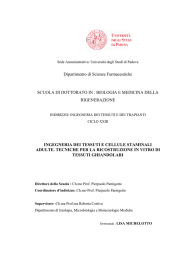 Documento PDF (tesi dottorato) - Padua@Research