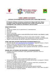 cani liberi accuditi
