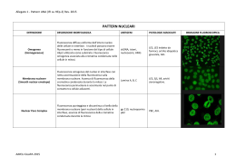 Pattern ANA (nucleari/citoplasmatici) ed antigeni/patologie ad essi