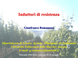 Induttori di resistenza.(G.Romanazzi)