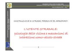 L`UTENTE STRADALE: i l i d ll i i i i di psicologia della visione e