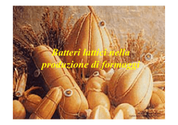 Batteri lattici nella produzione di formaggi