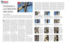 Trattamento e cura delle ferite delle piante