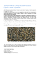 Clicca qui per il pdf di Jackson Pollock