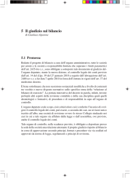 5 Il giudizio sul bilancio
